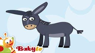 Donkey | Animal Sounds and Names for Kids & Toddlers @BabyTV