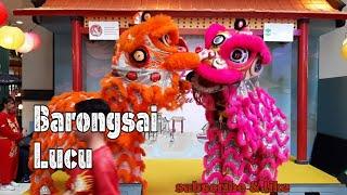 Barongsai Lucu | Funy Lion Dance | kokas