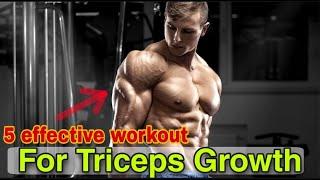 5 effective workout for triceps growth..  ||SN Fitness Media|| #fitness #workout  #viral #interview