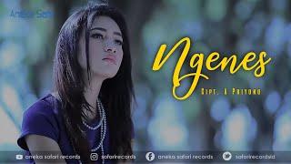 Lagu Terbaru Banyuwangi | Ngenes - Denik Armila ( Official Music Video ANEKA SAFARI )