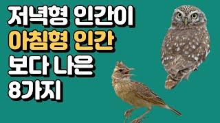 저녁형 인간이 아침형 인간보다 나은 8가지  #연구결과