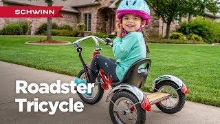 Schwinn Roadster Trike - Kid's Tricycle