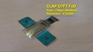 CLAP OTFT FoD Demo