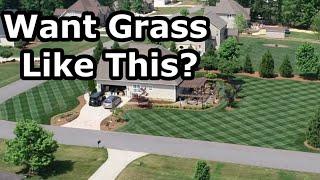 What GRASS SEED is Best for YOU?