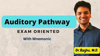 Auditory Pathway | Hearing |  #mbbs #physiology #mbbsexams