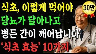보약보다 대단한 ‘식초’, 간과 혈관 건강 비법 10가지 알려 드립니다｜노후사연｜오디오북｜삶의지혜 | 보이는라디오