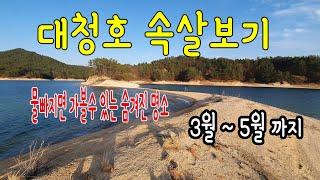 #여행지추천 #대청호오백리길 #안병일TV공감플러스