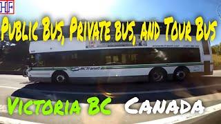 Victoria BC Bus Services - Getting Around | Victoria BC (Canada) Travel Guides - Episode# 2