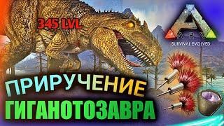 САМОЕ ЛЕГКОЕ ПРИРУЧЕНИЕ ГИГАНОТОЗАВРА в ARK Mobile | ark survival evolved, taming, Арк Мобайл, гига