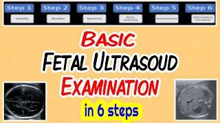 Basic Fetal Ultrasound Examination