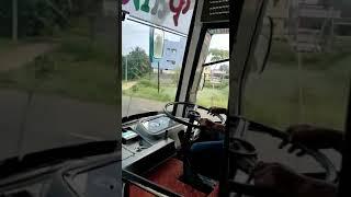 Bus driving(5)