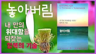 데이비드 호킨스의 놓아버림 우리 안에 있는 부정성을 놓아버리면 참 나를 만납니다