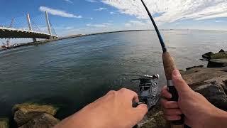 Big Fish Caught In Indian River DE