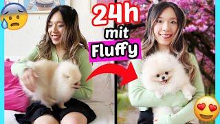 24 STUNDEN mit ️ WELPEN BABY FLUFFY  von BFF verbringen *GEHT es wieder SCHIEF*