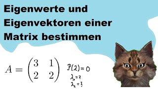 Eigenwerte und Eigenvektoren bestimmen einer Matrix an einem Beispiel mit Lösung einfach erklärt