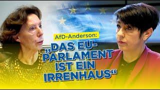 AfD-Anderson: „Das EU-Parlament ist ein Irrenhaus“