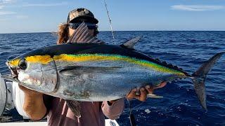 Limit Of Blackfin Tuna! Jupiter, Florida