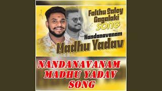 NANDANAVANAM MADHU YADAV SONG