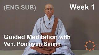 (EN/KO/日/中文/GER/FR SUB) Guided Meditation with Ven Pomnyun Sunim [Week 1]