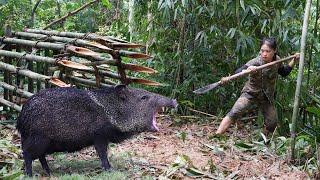 200 days of survival in the deep forest, setting traps, catching wild boars, survival alone