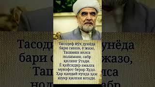 #rek #shayxmuhammadsodiqmuhammadyusuf #shorts #shortvideo #islam #quran #uzmaruza #uzb #rus #tj #kg