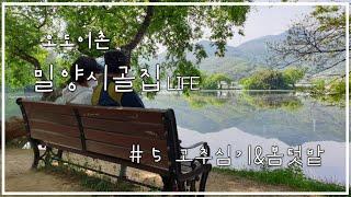 EP5 ㅣ고추심기ㅣ오도이촌ㅣ밀양시골집이야기ㅣ