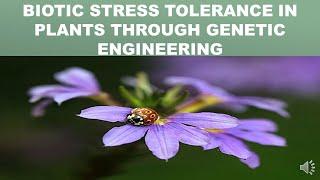 BIOTIC STRESS TOLERANCE IN PLANTS THROUGH GENETIC ENGINEERING