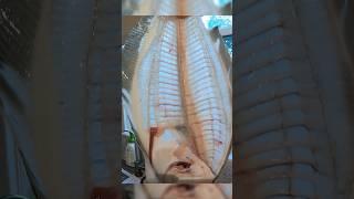 From Sea to Table - fluke (summer flounder) catch clean cook  #jigfishing #fishing #kayakfishing