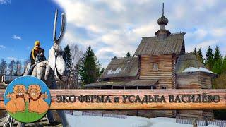 Это МОДНО - ЭКО ФЕРМА Ивановка. Усадьба Василёво. Путешествие на автомобиле в Тверскую область.