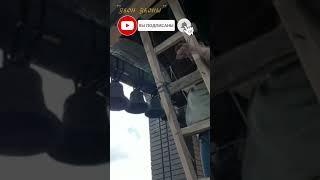 Лествичный звон с лестницы) Дайте срочно позвонить!  Курск