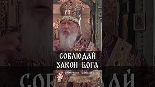 Соблюдай Закон Бога | еп. Августин (Анисимов)