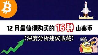 12 月最值得购买的16 种山寨币（深度分析建议收藏）