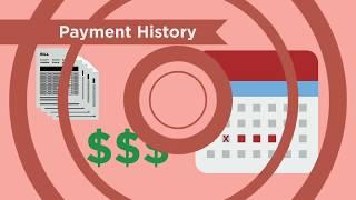 How a FICO Credit Score is Determined (2015) | Continuing Feducation