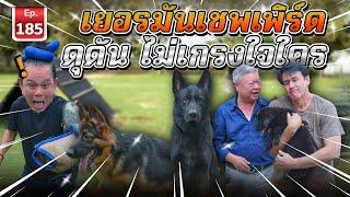 German Shepherd สุนัขตำรวจ ว่านอนสอนง่าย - เพื่อนรักสัตว์เอ๊ย EP.185