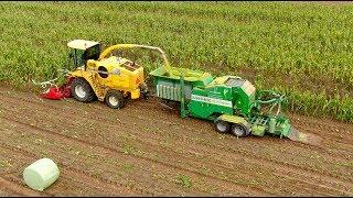 Maize Chopping Baling and Wrapping in one pass | New Holland FX60 & Agronic multibaler NI'J Holthoes