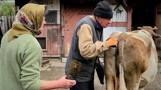 "Two Hearts" - Forgotten by Time: The Harsh Reality of Rural Life.