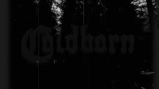 COLDBORN ( Atmospheric Black Metal ) - Lingering Voidwards