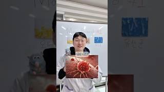 만성염증 영양제 3가지
