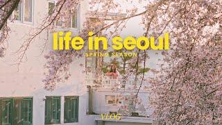 seoul vlog | spring in seoul, cherry blossom cafe, rent a bike