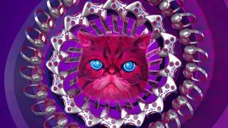 Recycle Your Electricals - Hypnocat's hypnotic new track