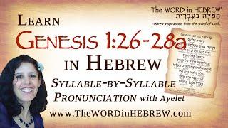Learn Genesis 1:26-28a in Hebrew "Let US make man..." with syllable-by-syllable pronunciation!