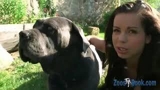 Sweet girl with her dog in the backyard