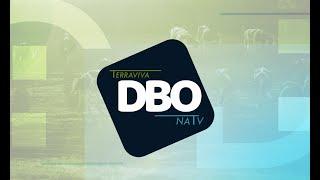 [AO VIVO] DBO NA TV | 29/11/2024