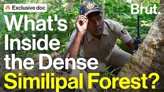 Brut Goes Patrolling With Forest Guards  | Brut Documentary