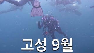 고성 9월 다이빙 (로맨틱 다이브 센터 & 리조트, 마르세유/베니스)