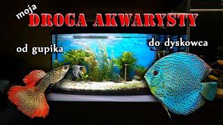  Droga Akwarysty - od gupika do dyskowca