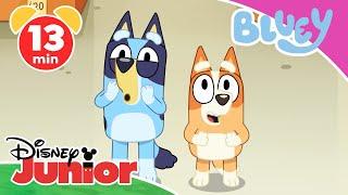  Neue Abenteuer mit Bluey! | Bluey