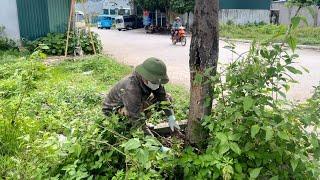 Volunteer to clean up and restore sidewalks filled with rocks and weeds