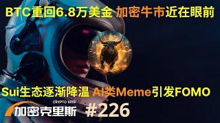 BTC重回6.8万美金，加密牛市近在眼前，AI类meme引发市场fomo，solana链上金狗GOAT市值突破2亿，Sui生态逐渐降温，比特币一层资产表现平平【加密克里斯 第226期】