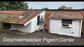 Descheemaecker Pigeon Center - Belgium